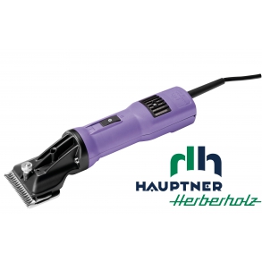Hauptner heste & kreaturer